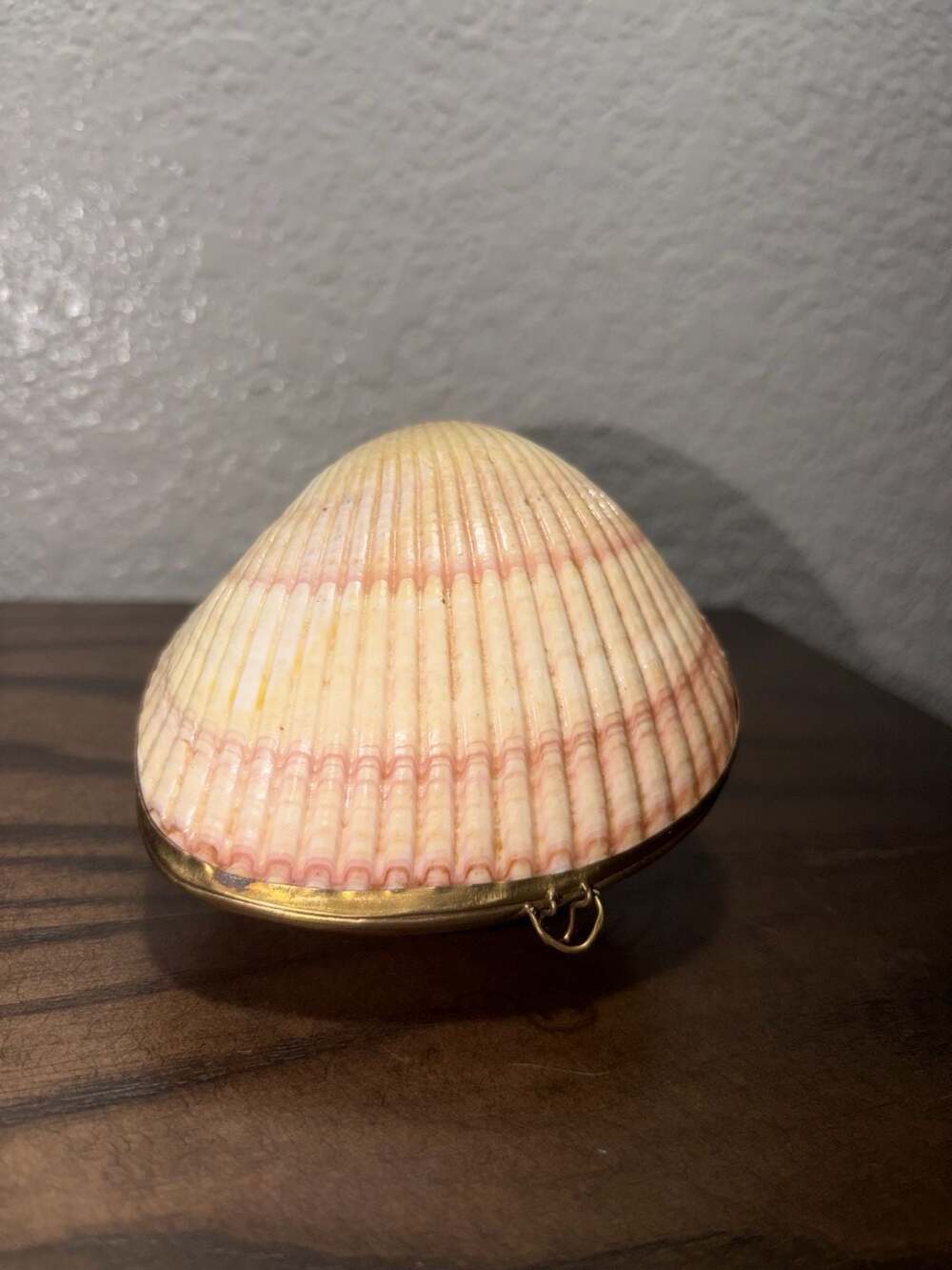 Vintage Seashell Hinged Trinket Box or Coin Purse